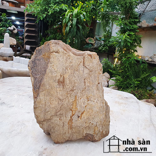 Gỗ Hóa Thạch Thô Tự Nhiên  Gỗ Hóa Thạch Thô Tự Nhiên