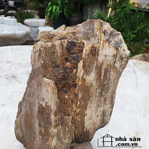 Gỗ Hóa Thạch Thô Tự Nhiên Gỗ Hóa Thạch Thô Tự Nhiên