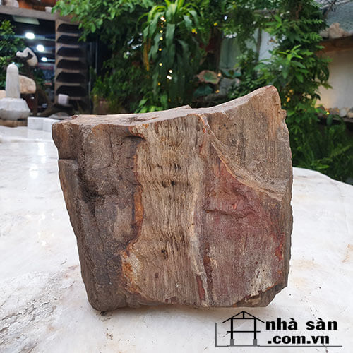 Gỗ Hóa Thạch Thô Tự Nhiên Gỗ Hóa Thạch Thô Tự Nhiên