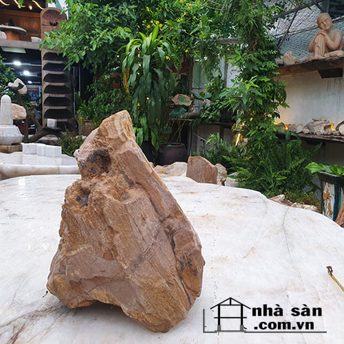 Gỗ Hóa Thạch Thô Tự Nhiên  Gỗ Hóa Thạch Thô Tự Nhiên