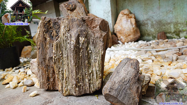 Gỗ hóa thạch thô triệu năm chưa qua xử lý Gỗ hóa thạch thô triệu năm chưa qua xử lý