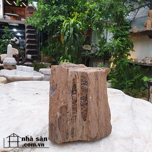 Gỗ Hóa Thạch Tự Nhiên Thô  Gỗ Hóa Thạch Tự Nhiên Thô