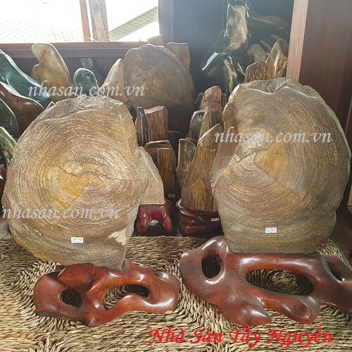 Gỗ Hóa Thạch Tự Nhiên