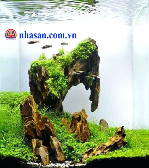 Hồ cá thủy sinh làm đá gỗ hóa thạch