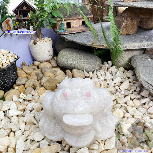 Khai quang thiềm thừ Khai quang thiềm thừ