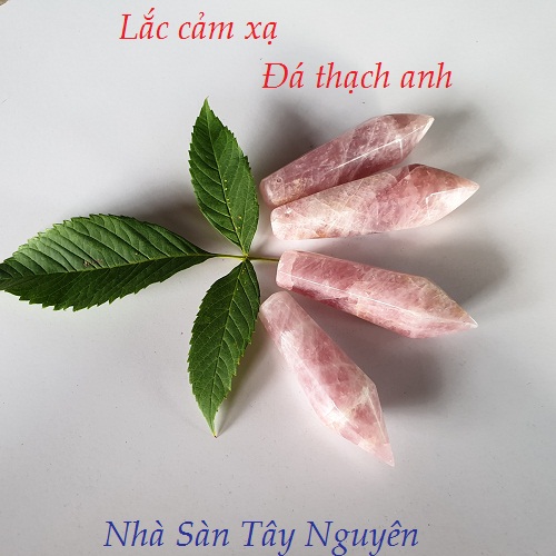 Lắc Cảm Xạ - Nhà Sàn Tây Nguyên Lắc Cảm Xạ - Nhà Sàn Tây Nguyên