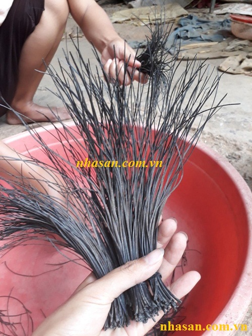 Lông Đuôi Voi Biểu Tượng Cho Sự Chung Thủy Lông Đuôi Voi Biểu Tượng Cho Sự Chung Thủy