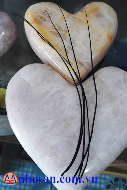 Lông Đuôi Voi May Mắn Lông Đuôi Voi May Mắn