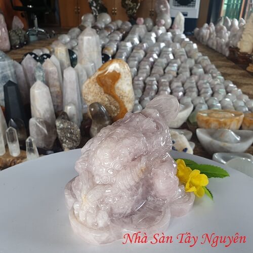 Mua Cóc 3 Chân Ở Đâu