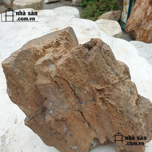 Mua Gỗ Hóa Thạch Ở Đâu Mua Gỗ Hóa Thạch Ở Đâu