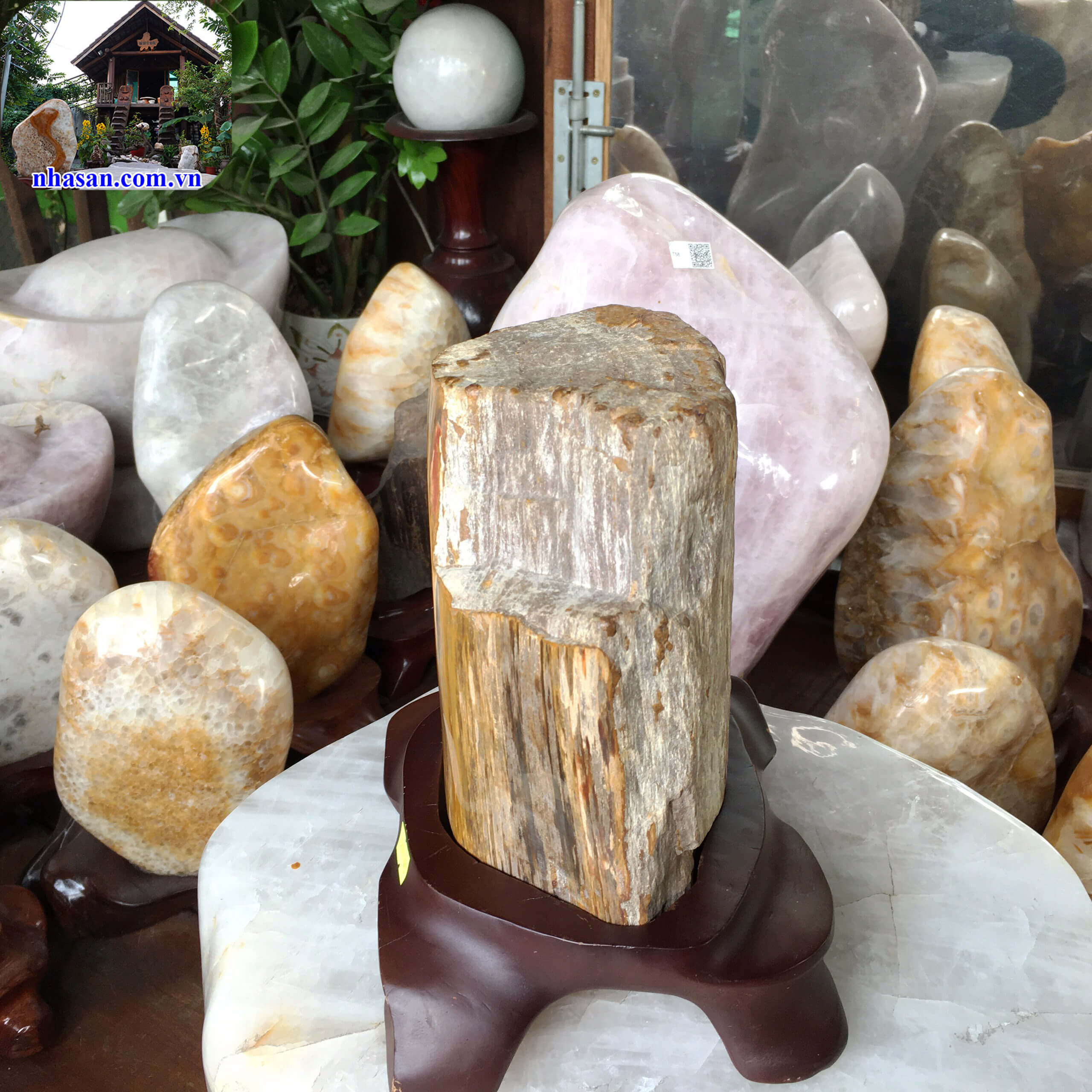 Mua gỗ hóa thạch ở đâu GHT49-3 Mua gỗ hóa thạch ở đâu GHT49-3