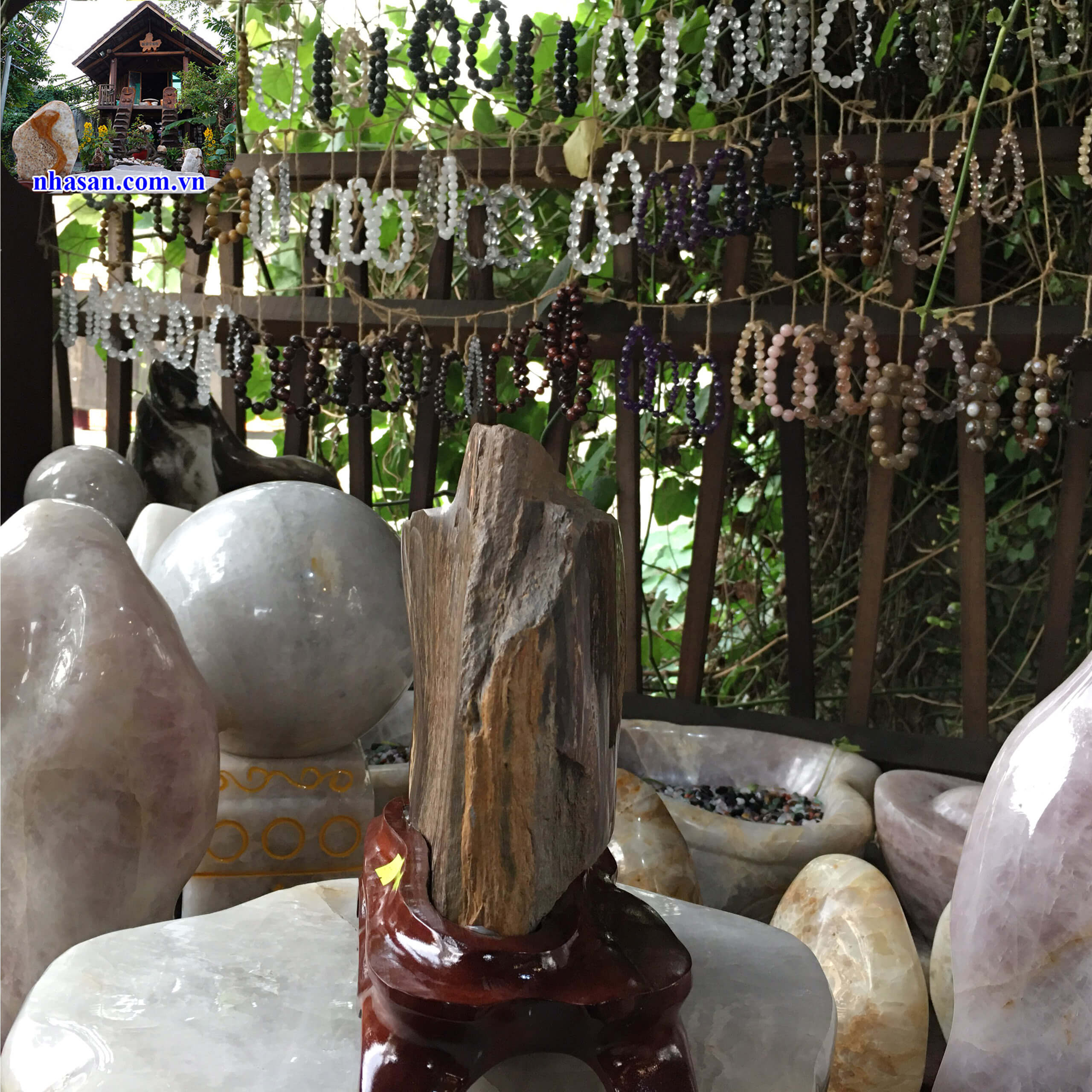 Mua gỗ hóa thạch ở đâu Mua gỗ hóa thạch ở đâu