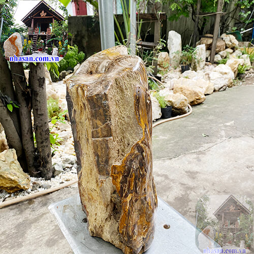 Mua gỗ hóa thạch tự nhiên ở đâu  Mua gỗ hóa thạch tự nhiên ở đâu