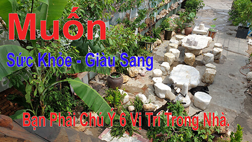 Muốn Sức Khỏe Giàu Có Bạn Cần Chú Ý 6 Vị Trí Này