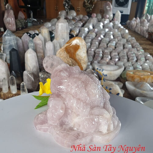 Nguồn Gốc Thiềm Thừ