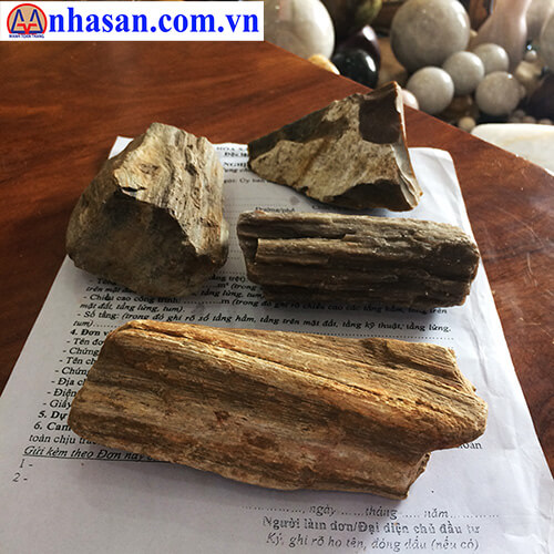 Nhà Nhà Tây Nguyên gave you petrified wood or stone agate when you choose the goods