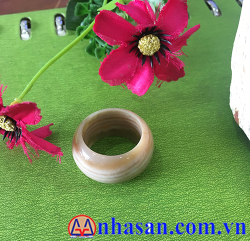 Nhẫn Đá Gỗ Hóa Thạch Nhẫn Đá Gỗ Hóa Thạch