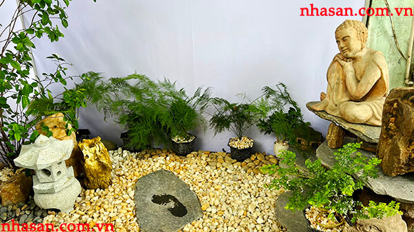 Tiểu cảnh mang thiên nhiên về nhà bạn Tiểu cảnh mang thiên nhiên về nhà bạn