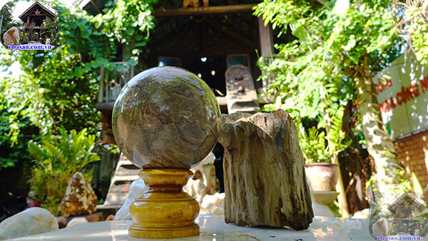 Quả cầu gỗ hóa thạch đã được đánh bóng Quả cầu gỗ hóa thạch đã được đánh bóng