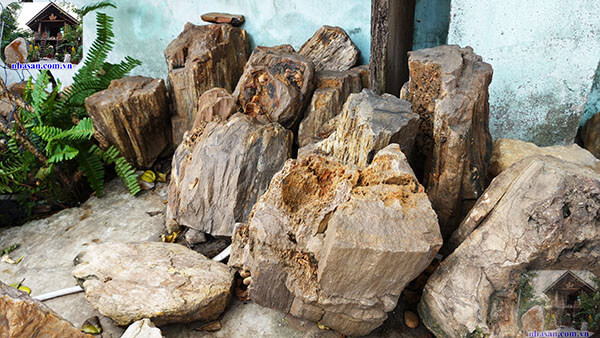 Gỗ hóa thạch thô phong thủy Gỗ hóa thạch thô phong thủy