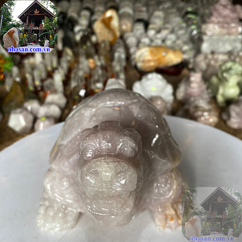 Rùa Đầu Rồng nên đặt ở đâu  Rùa Đầu Rồng nên đặt ở đâu