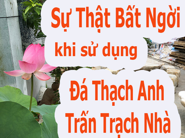 Sự Thật Bất Ngời khi sử dụng Đá Thạch Anh Trấn Trạch Nhà Sự Thật Bất Ngời khi sử dụng Đá Thạch Anh Trấn Trạch Nhà