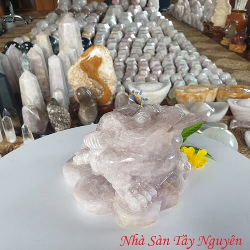 Thiềm Thừ Có Ý Nghĩa Gì