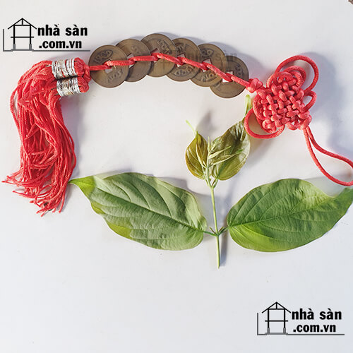 Tiền Xu Lục Đế Phong Thủy