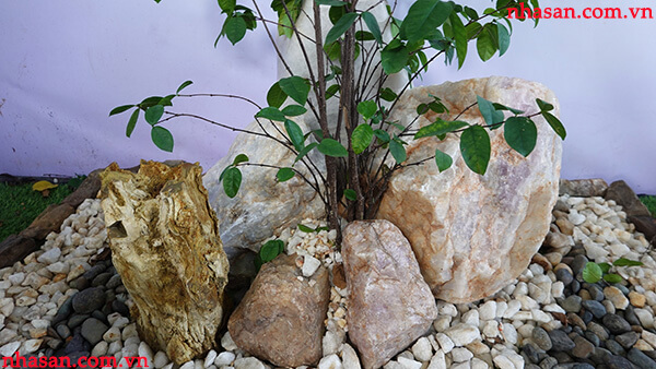 Giúp hội tụ được ánh sáng, gió thiên nhiên tạo sinh khí Giúp hội tụ được ánh sáng, gió thiên nhiên tạo sinh khí