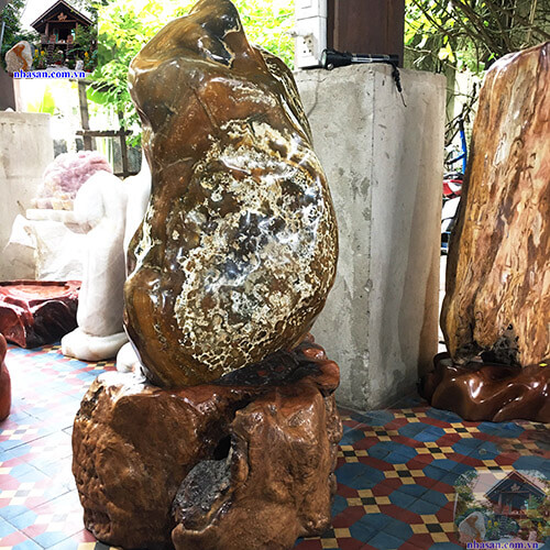 Thường được trưng bày ở công ty, nhà hàng, khách sạn, nhà ở Thường được trưng bày ở công ty, nhà hàng, khách sạn, nhà ở