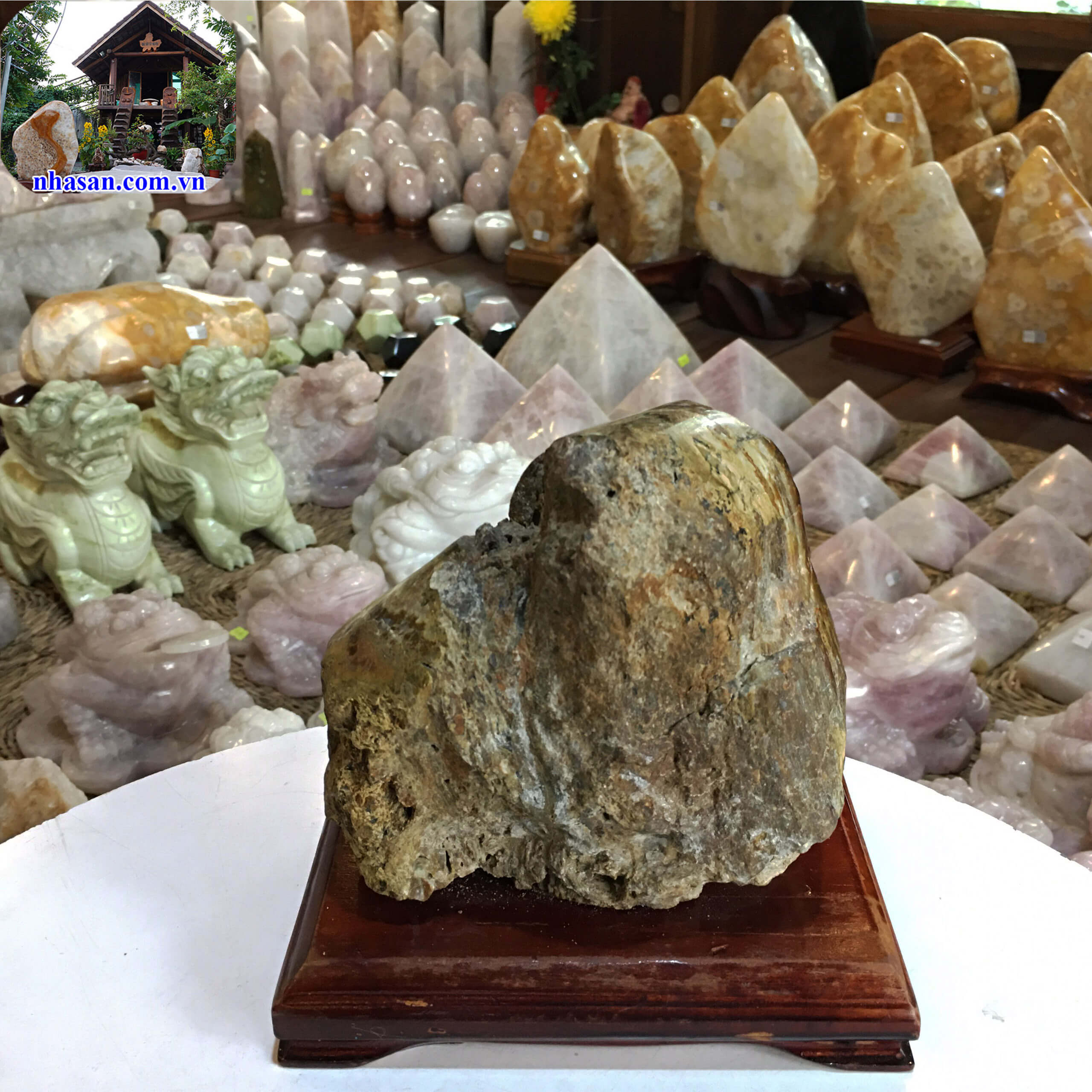 Trụ gỗ hóa đá nặng 2kg GHT52-2 Trụ gỗ hóa đá nặng 2kg GHT52-2