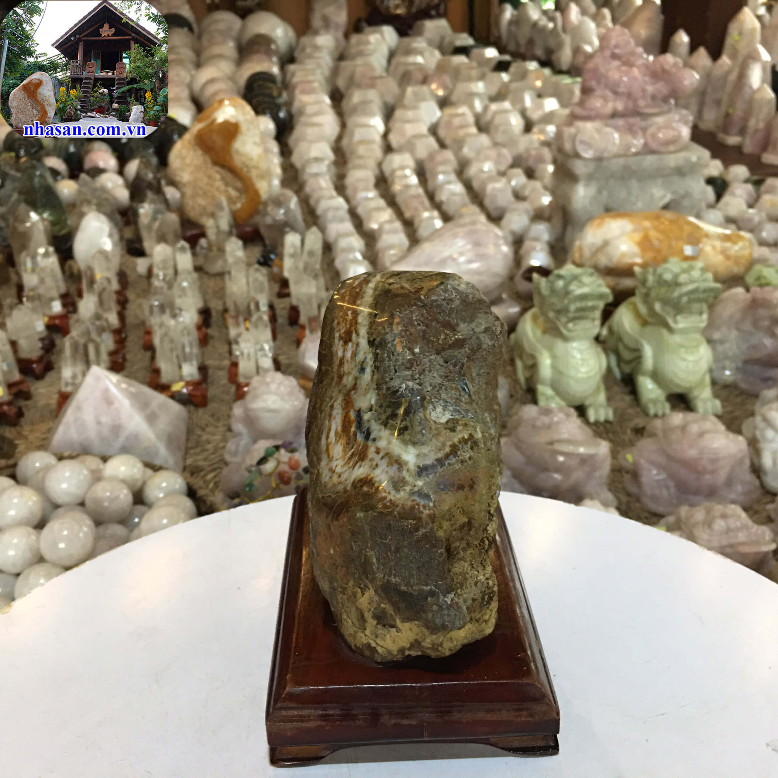 Trụ gỗ hóa đá tự nhiên GHT52-3 Trụ gỗ hóa đá tự nhiên GHT52-3