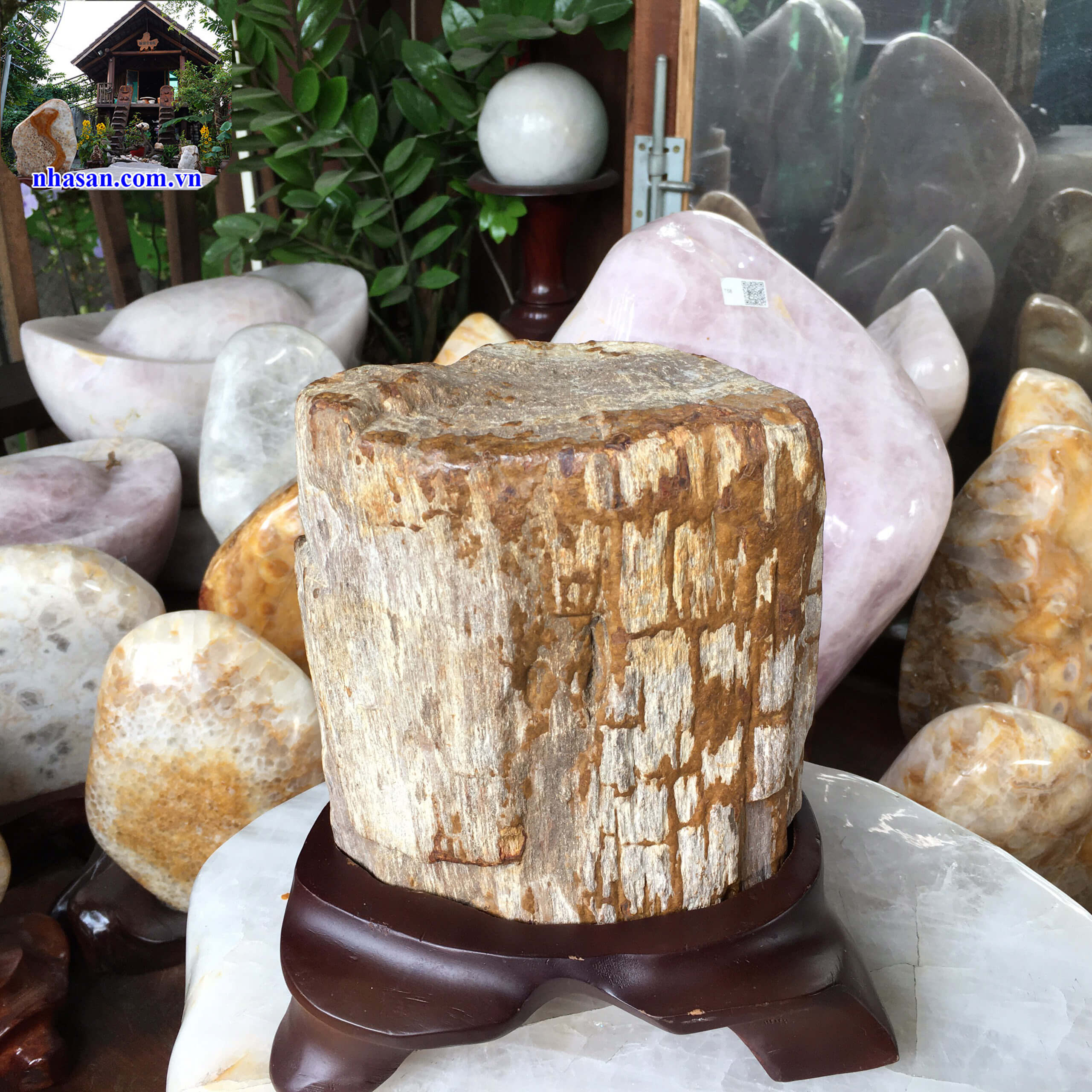 Trụ gỗ hóa thạch tự nhiên GHT49-2 Trụ gỗ hóa thạch tự nhiên GHT49-2