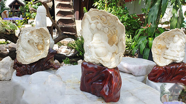 Vỏ sò tai tượng hóa thạch Vỏ sò tai tượng hóa thạch