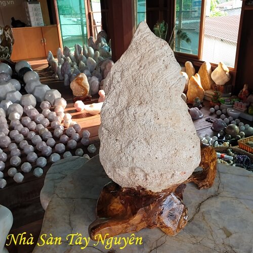 Vỏ Ngọc Trai Hóa Thạch Tự Nhiên