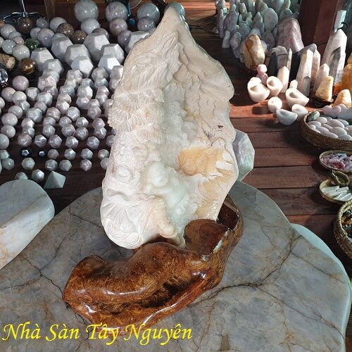 Vỏ Ngọc Trai Tai Tượng Hóa Thạch