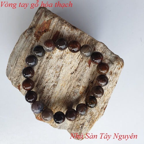 Vòng Tay Đá Gỗ Hóa Thạch