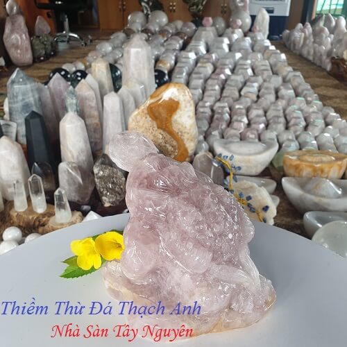 The Meaning Of Toad Thuy