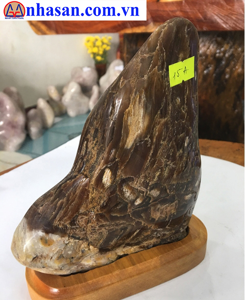 Meaning Of Fossil Wood In Healing