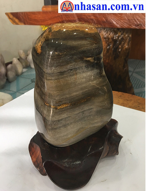 Meaning Of Fossil Wood In Feng Shui