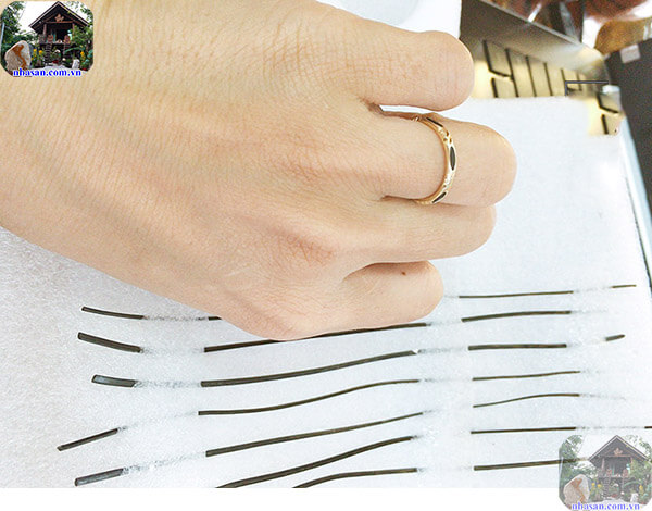 Lông đuôi voi được lồng vào nhẫn Lông đuôi voi được lồng vào nhẫn