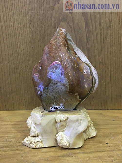 ĐÁ CAXEDON CXD-37.1