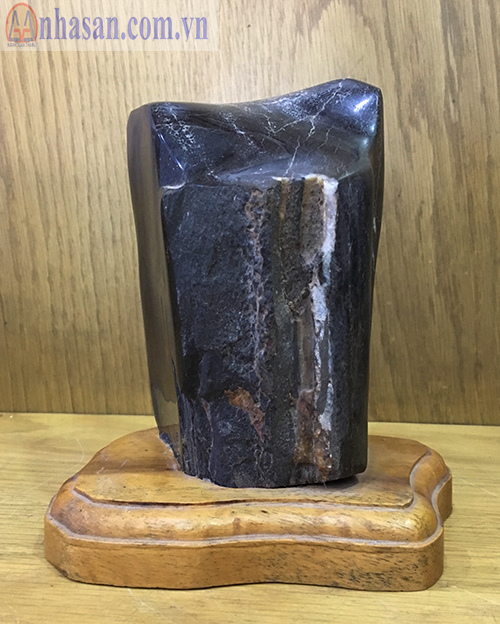 Fossil wood-GHT 11.1