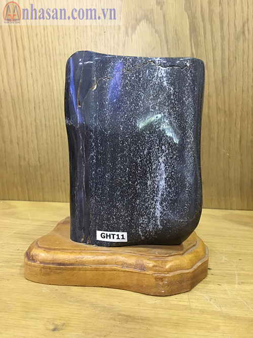 Fossil wood-GHT 11