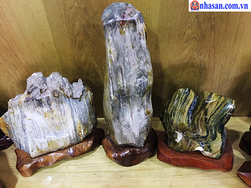 Gỗ hoá thạch giá bao nhieu