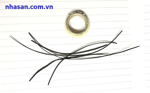 bán lông đuôi voi bình dương