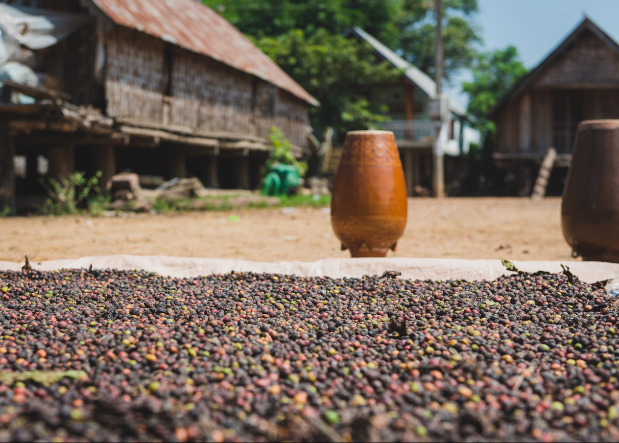 Cà phê - chế rượu cần