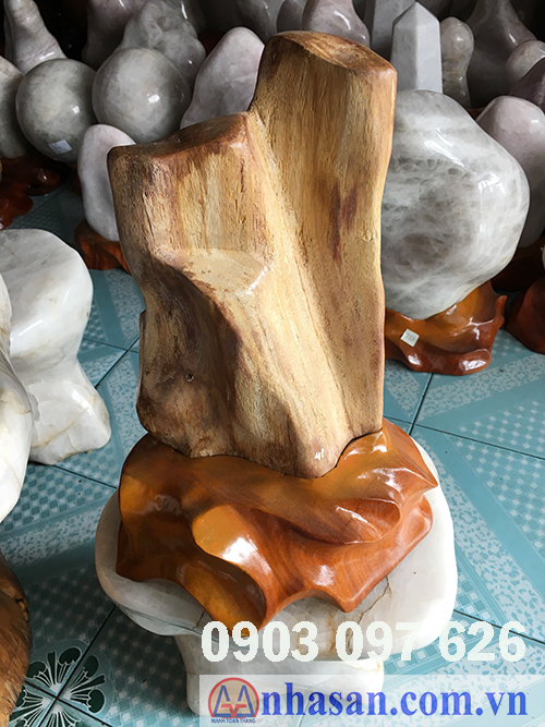 Petrified wood stone-GHT-6.1