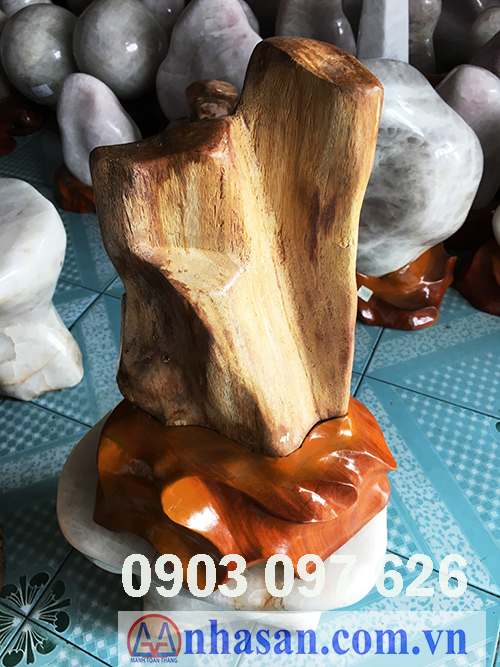 Fossil wood stone-GHT-6.2