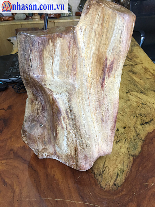 Petrified wood stone-GHT-6.3